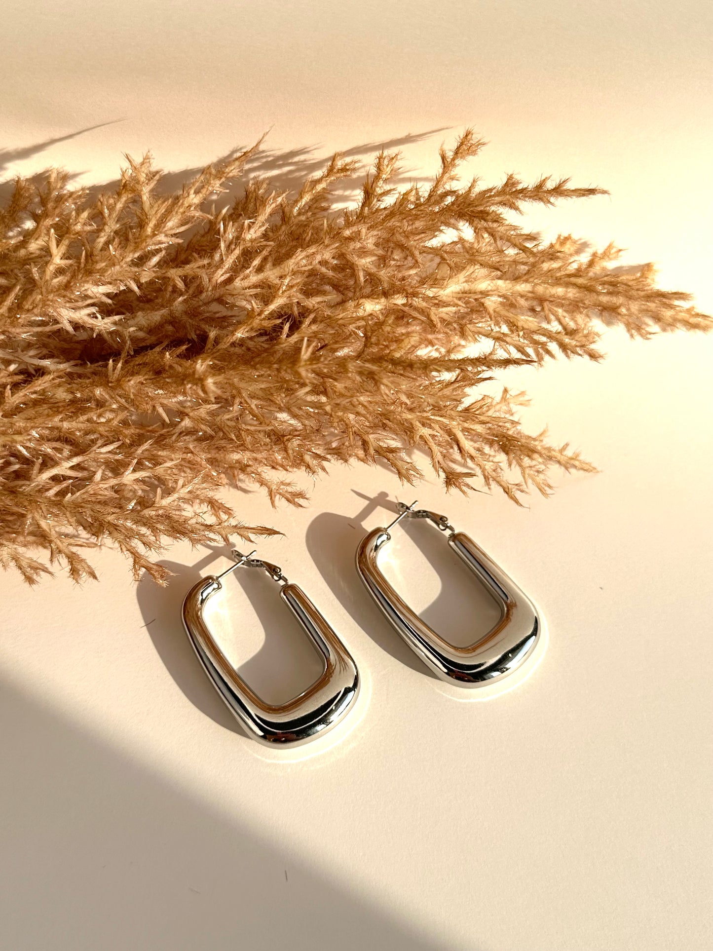 Angelina Silver Earrings