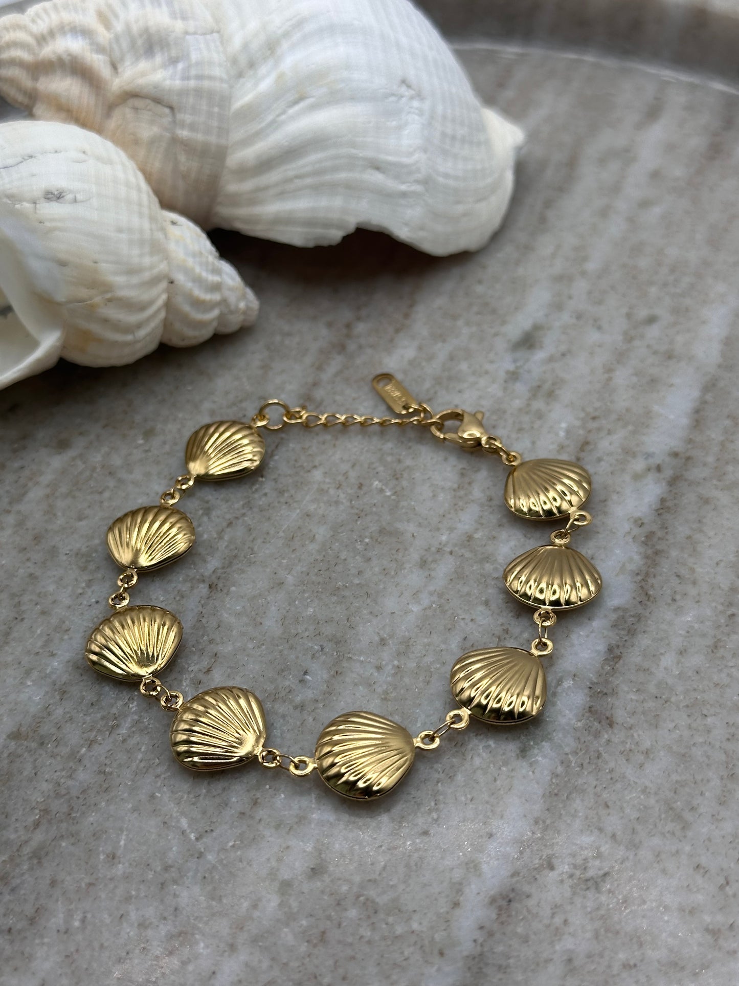 Salt and Shell Bracelet