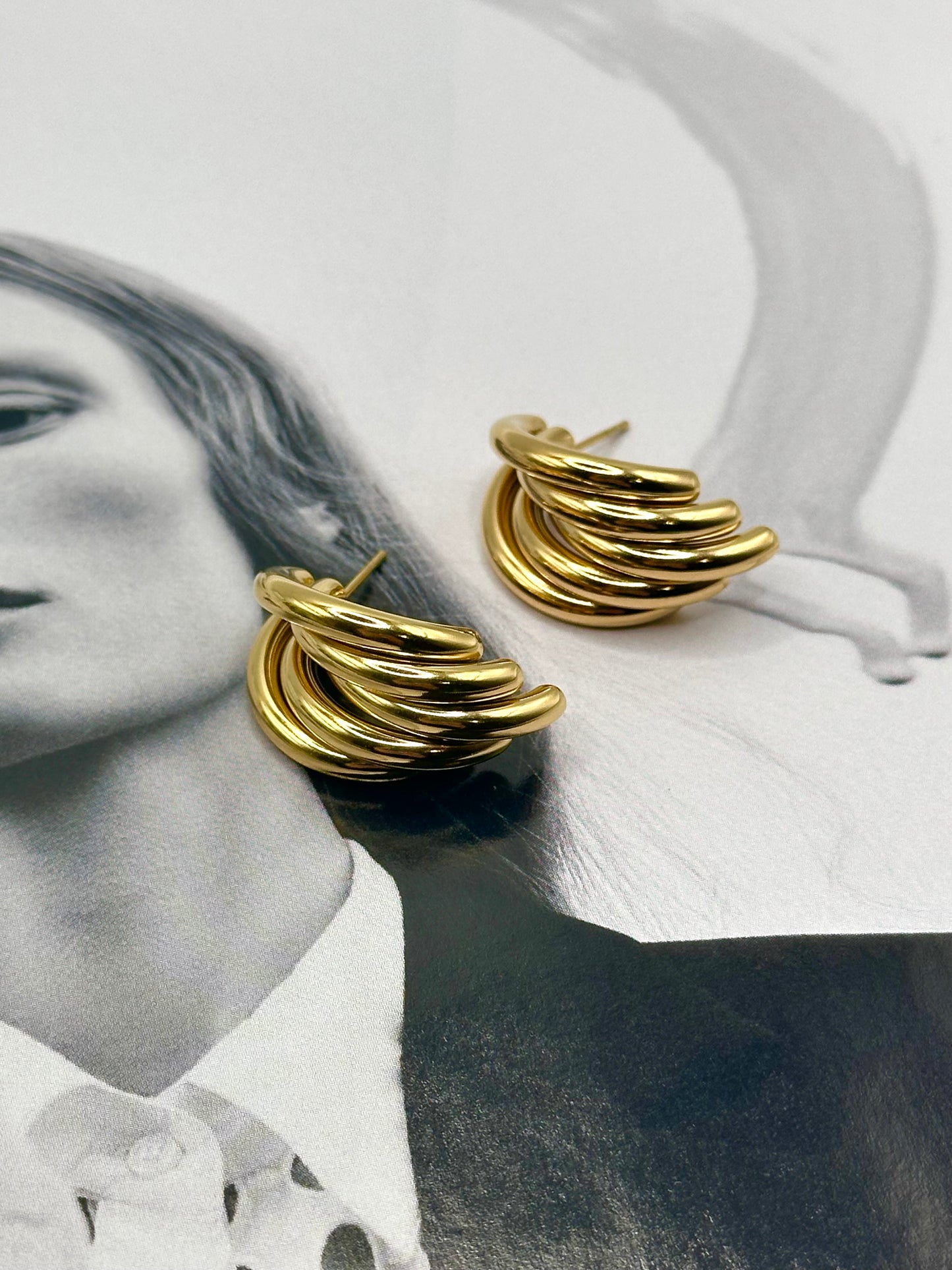 Wing Earrings
