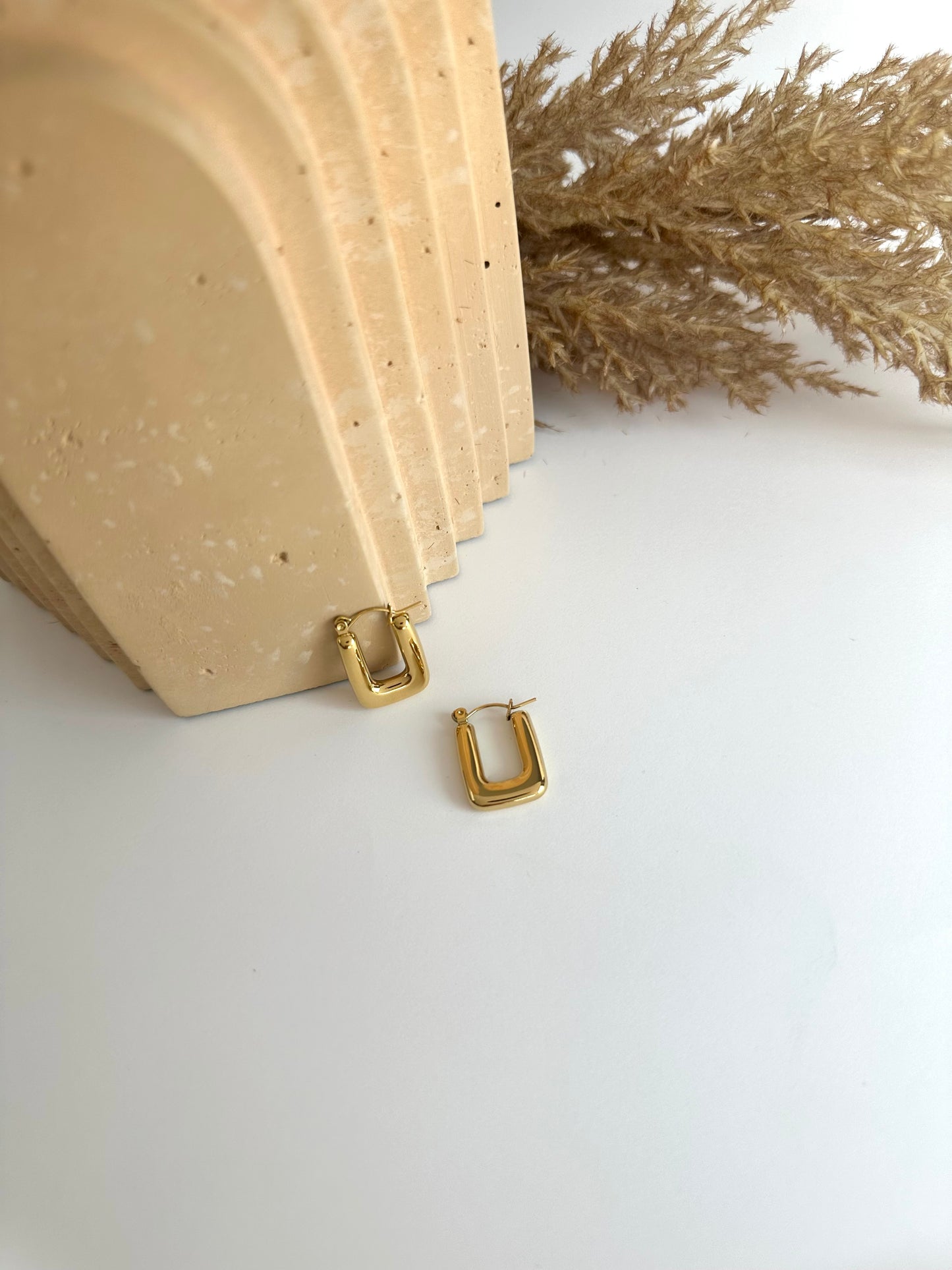 Carina Earrings