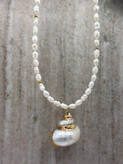 Aphrodite’s Gift