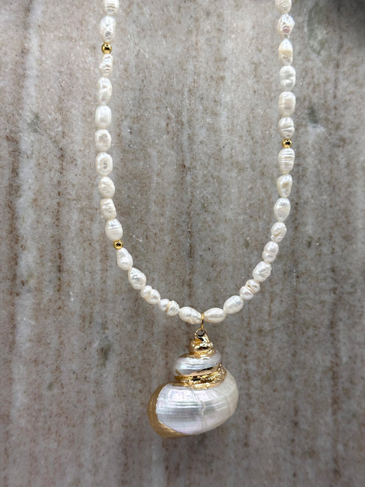 Aphrodite’s Gift