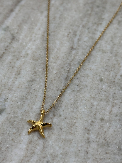 Tiny Starfish Necklace