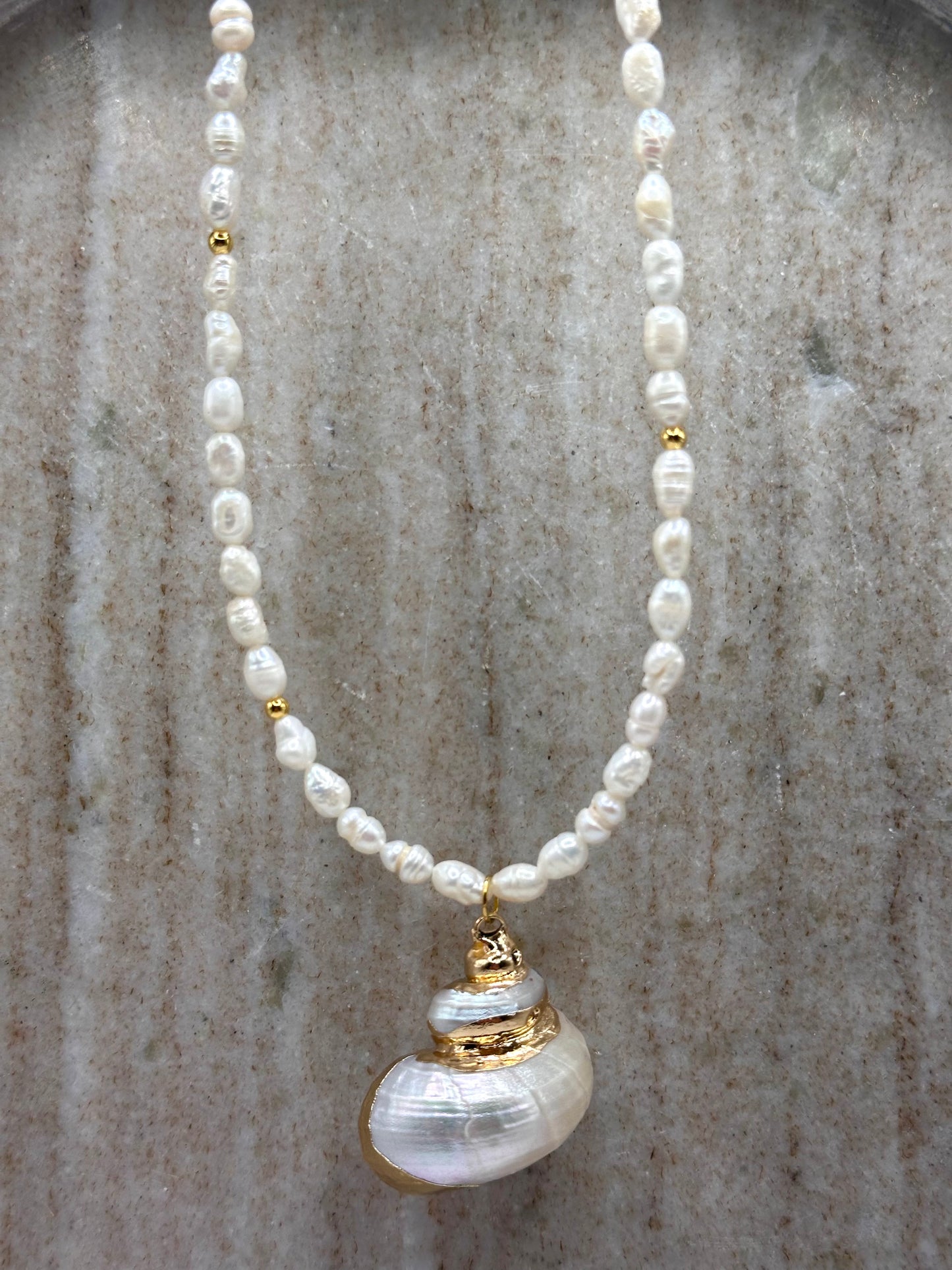 Aphrodite’s Gift