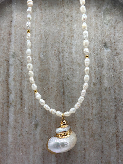 Aphrodite’s Gift