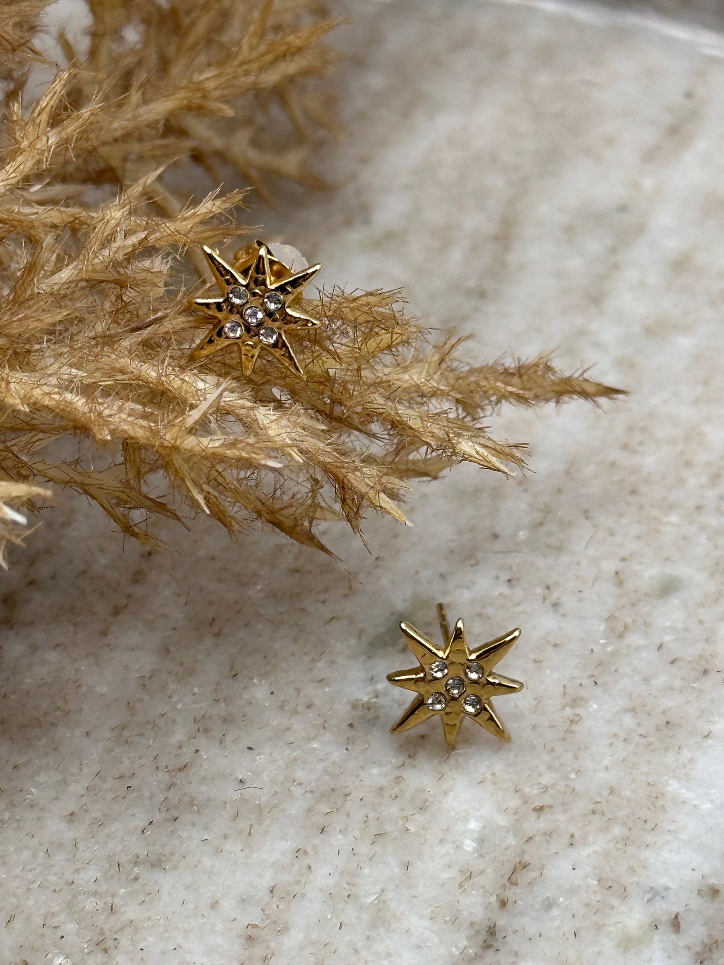 Little Star Earrings