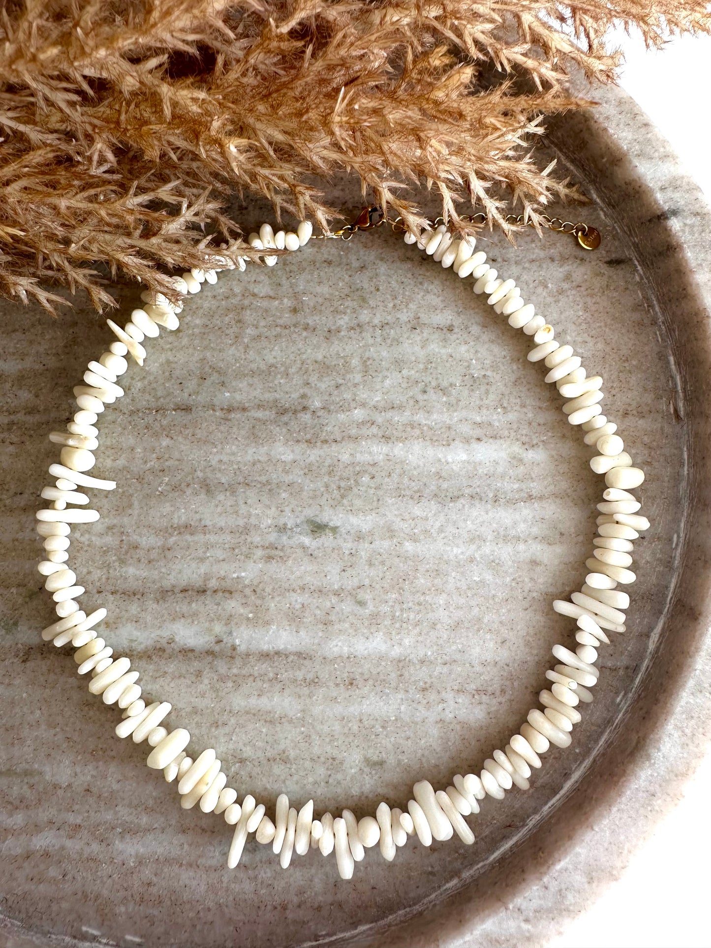 White Coral