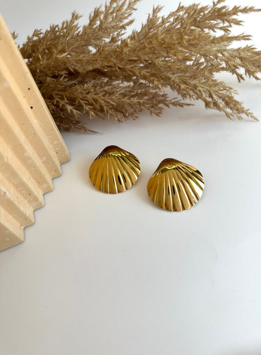 Shell Earrings