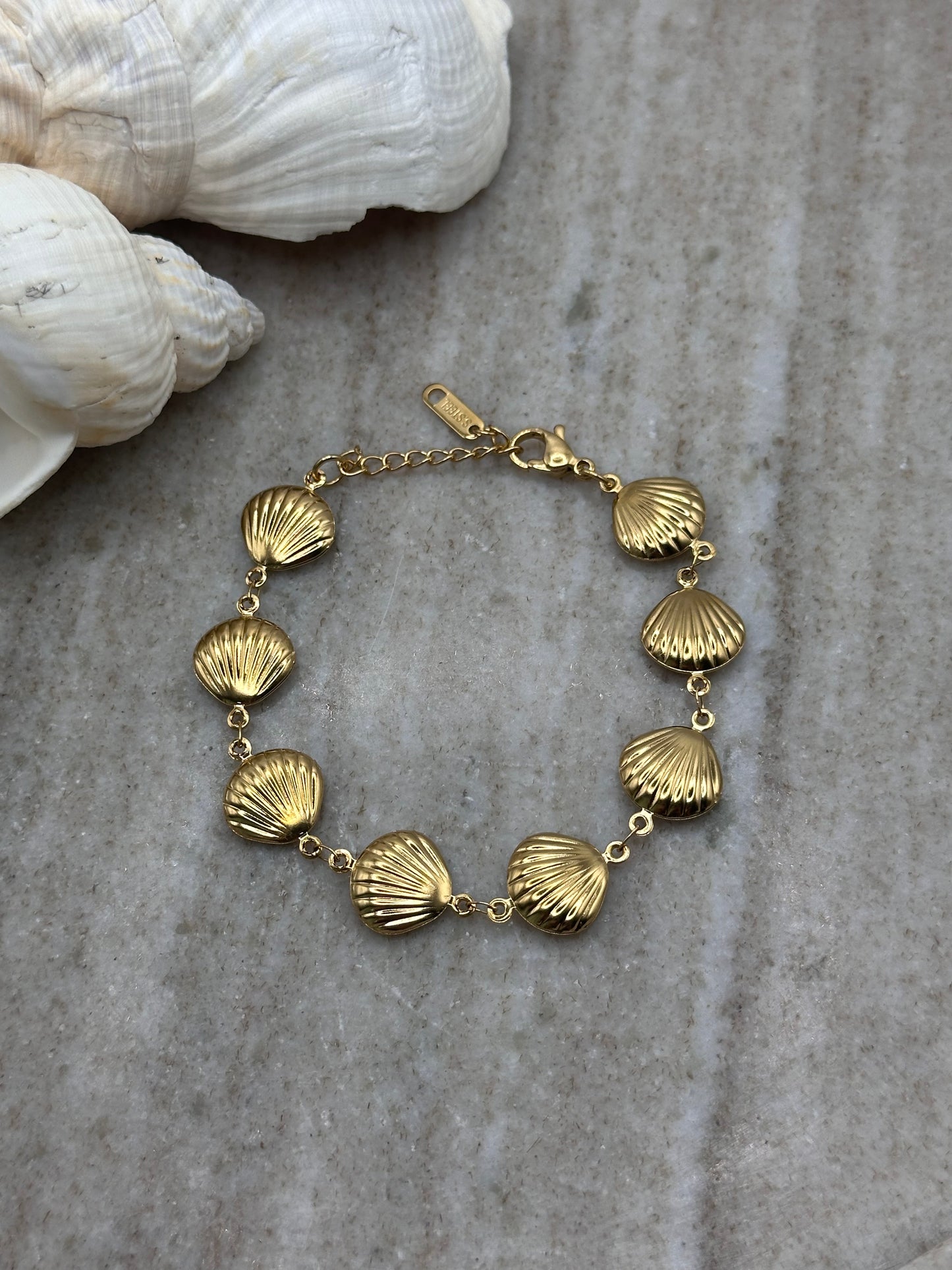 Salt and Shell Bracelet