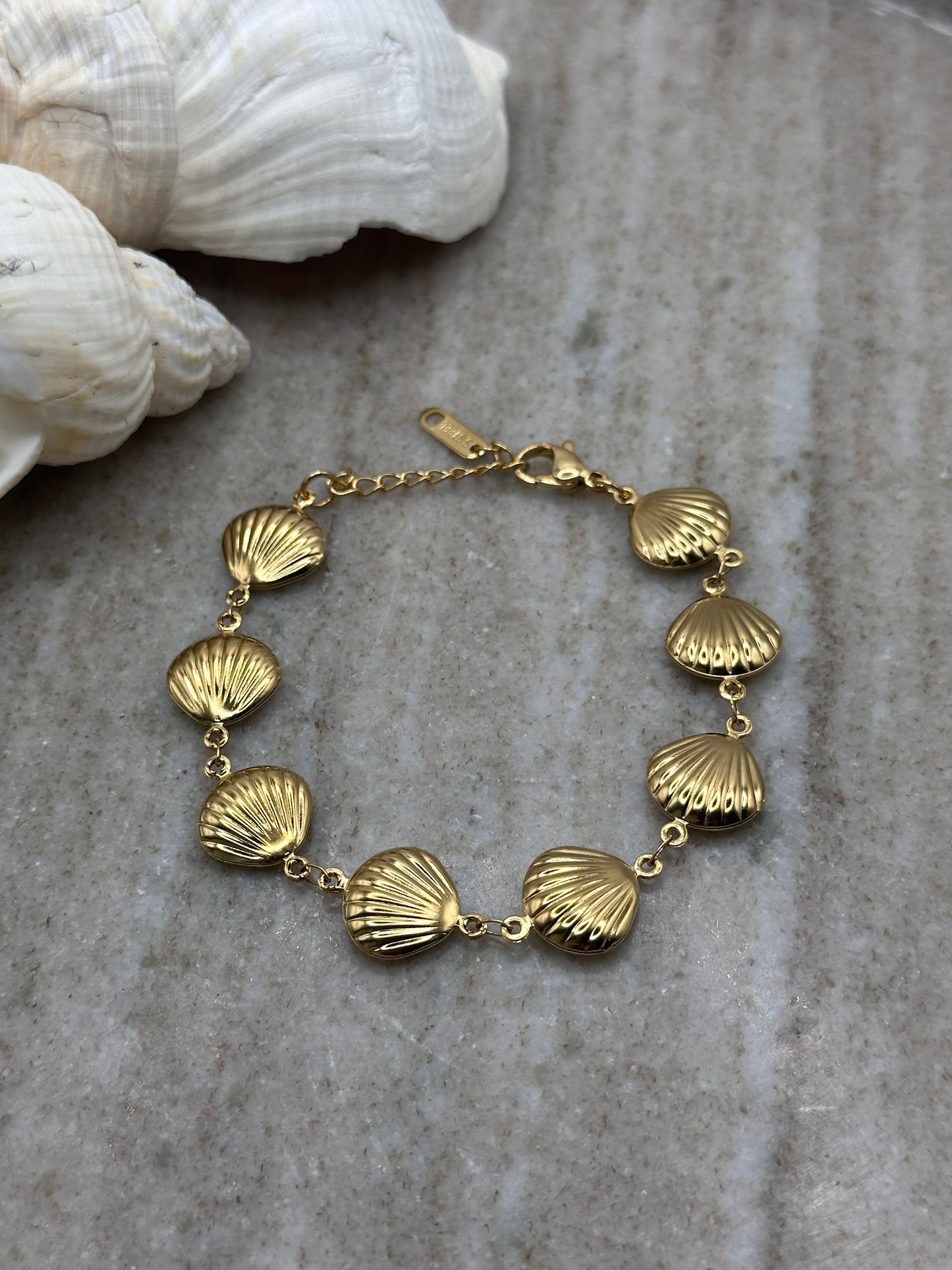 Salt and Shell Bracelet