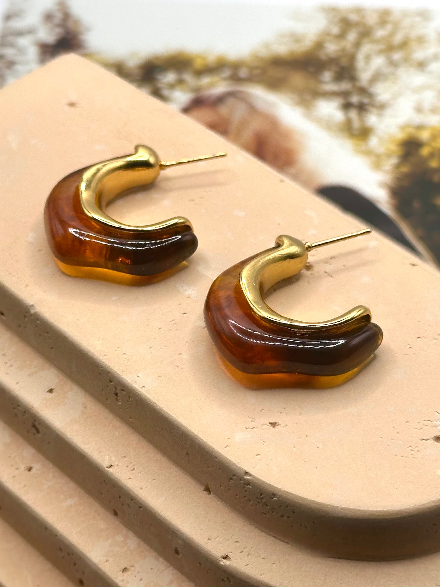 Golden Eclipse Earrings