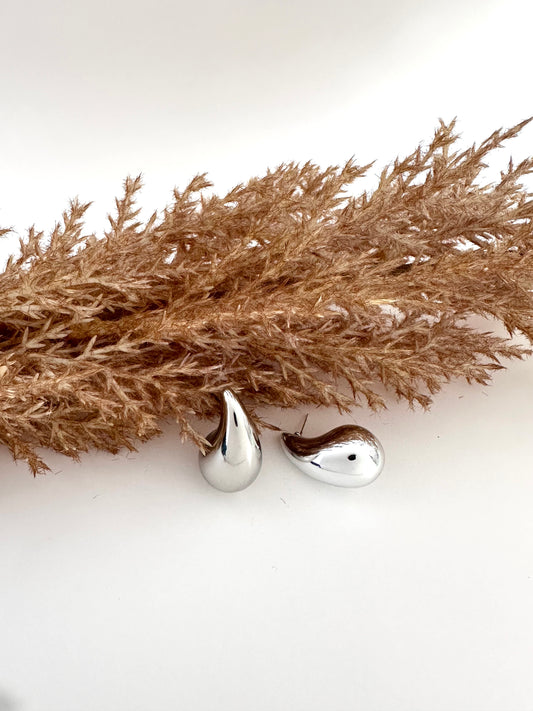 Silver Drops Earrings