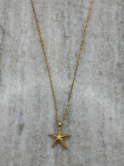 Tiny Starfish Necklace