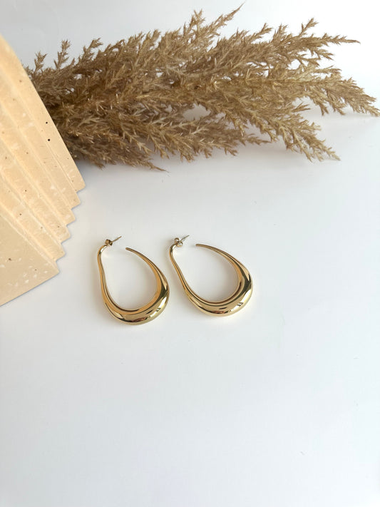 Saliver Earrings