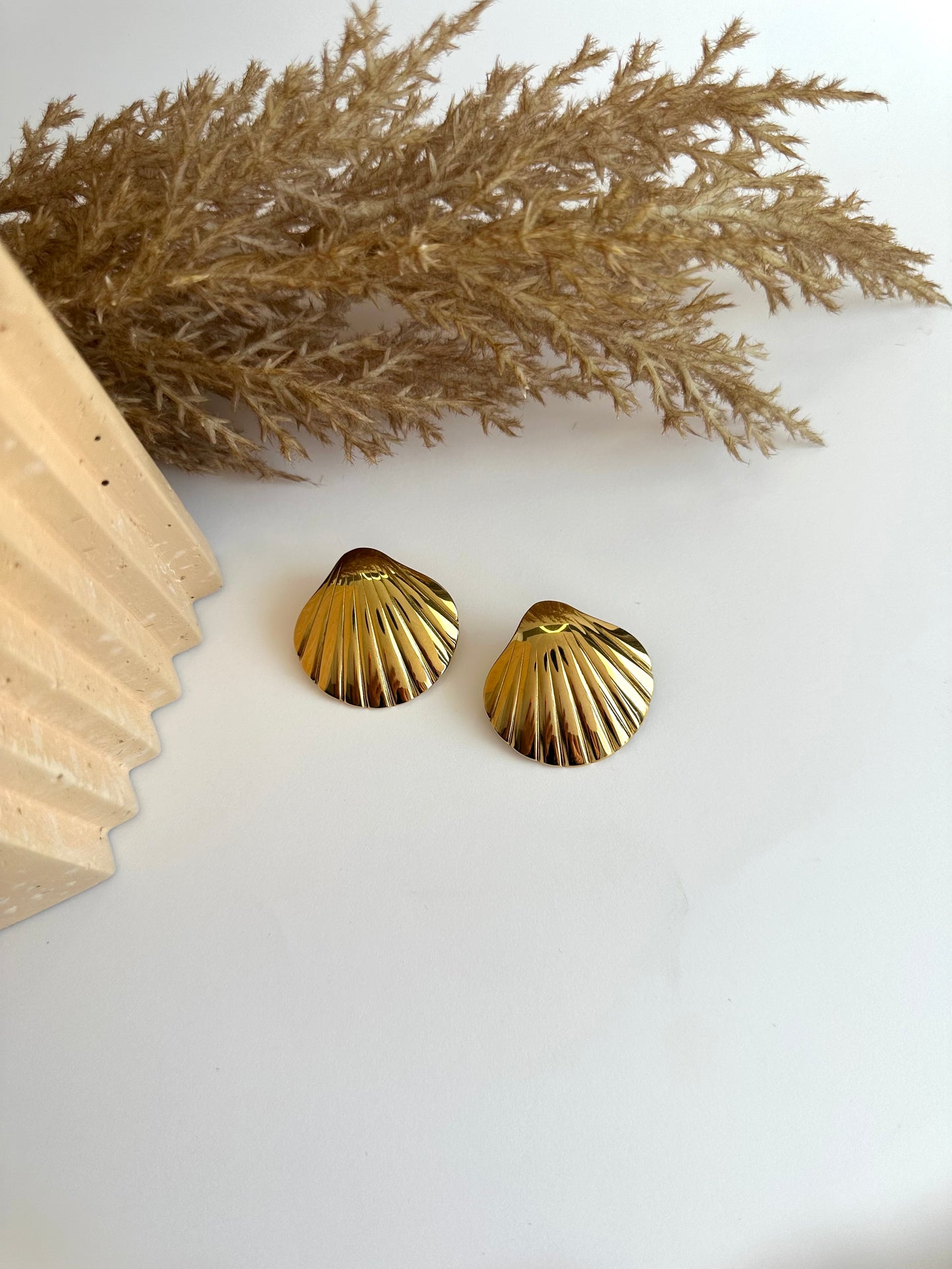 Shell Earrings