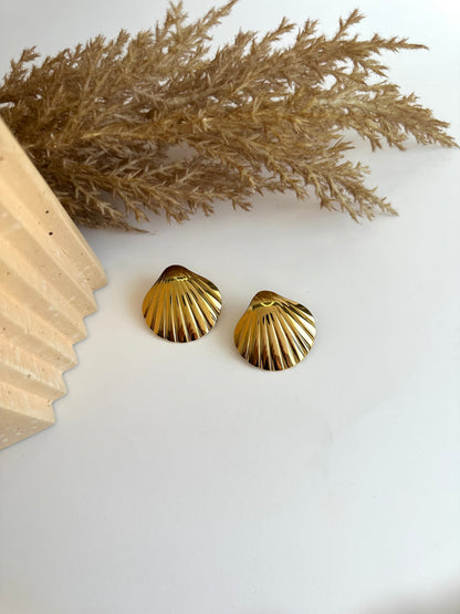 Shell Earrings
